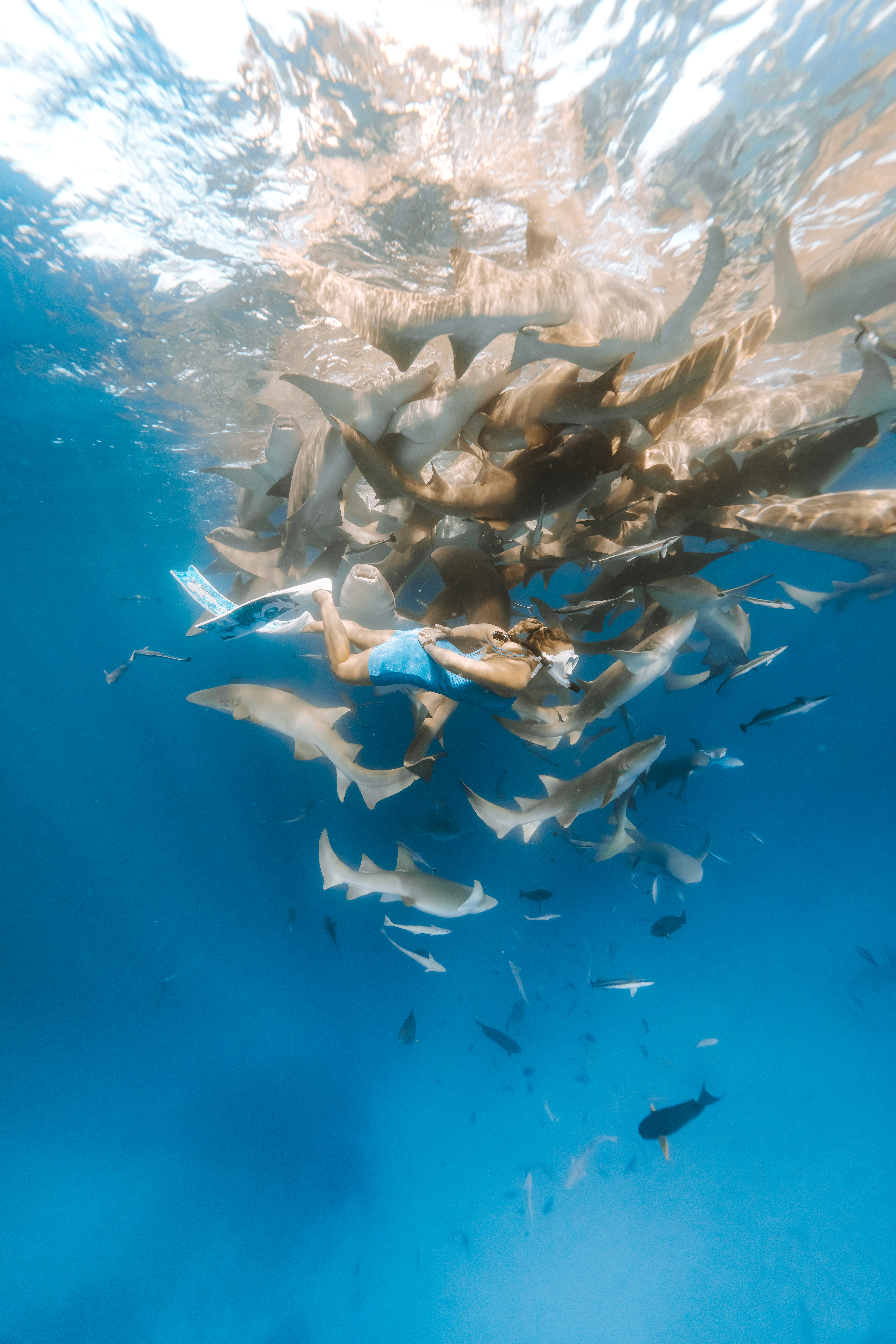 Vaavu Atoll Expedition